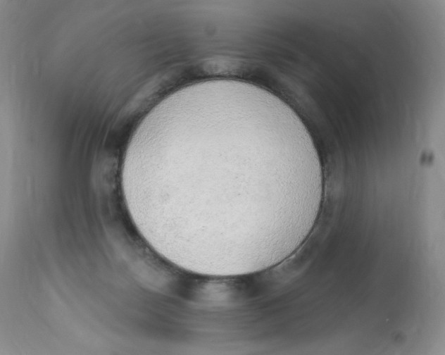 X0000112840171200909111430