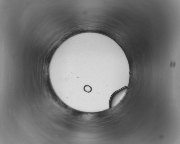 X0000112840172200909111430