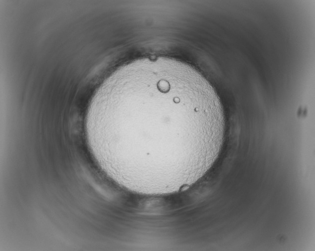 X0000112840173200909111430