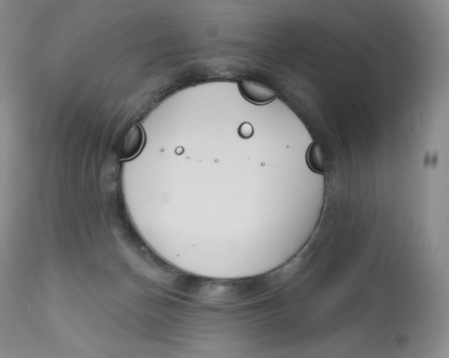 X0000112840174200909111430