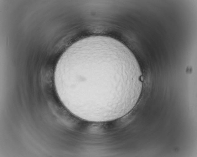 X0000112840175200909111430