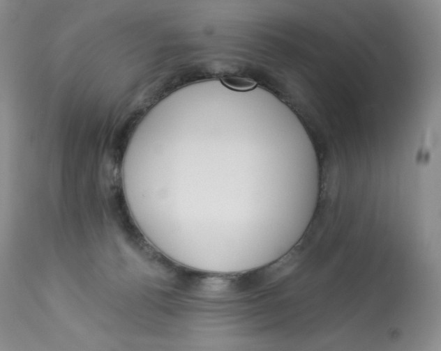 X0000112840176200909111430