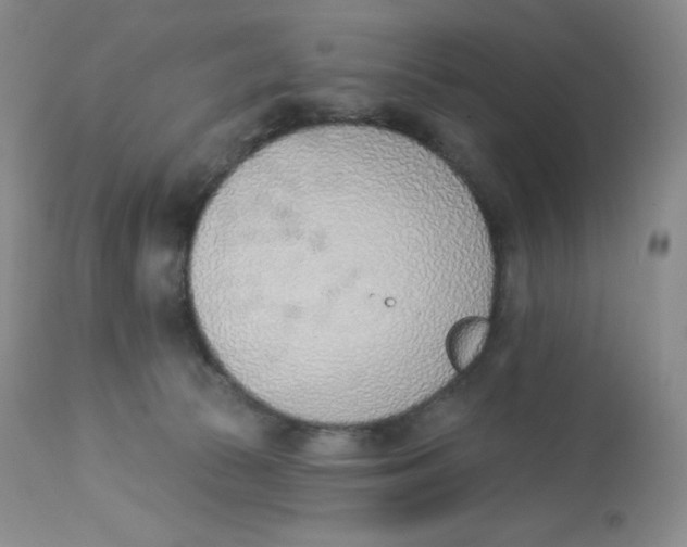 X0000112840177200909111430