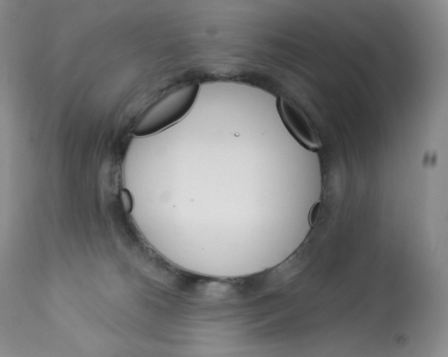 X0000112840180200909111430