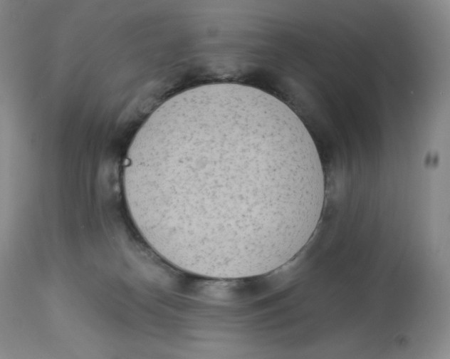 X0000112840182200909111430