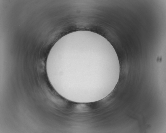 X0000112840183200909111430