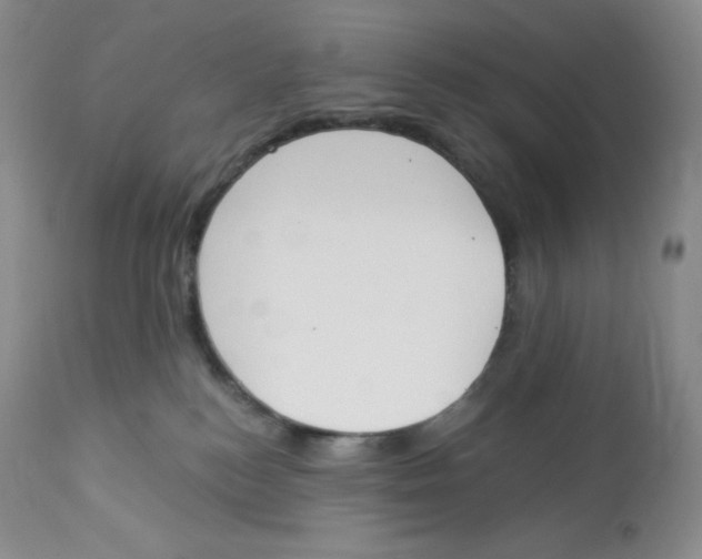 X0000112840184200909111430