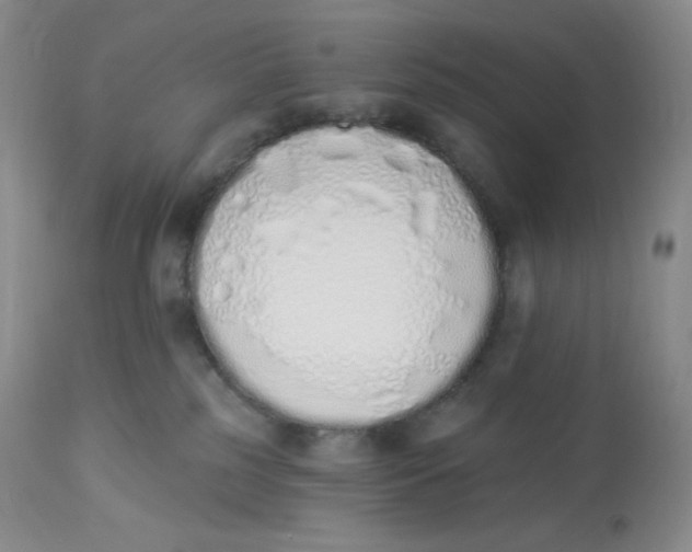 X0000112840185200909111430