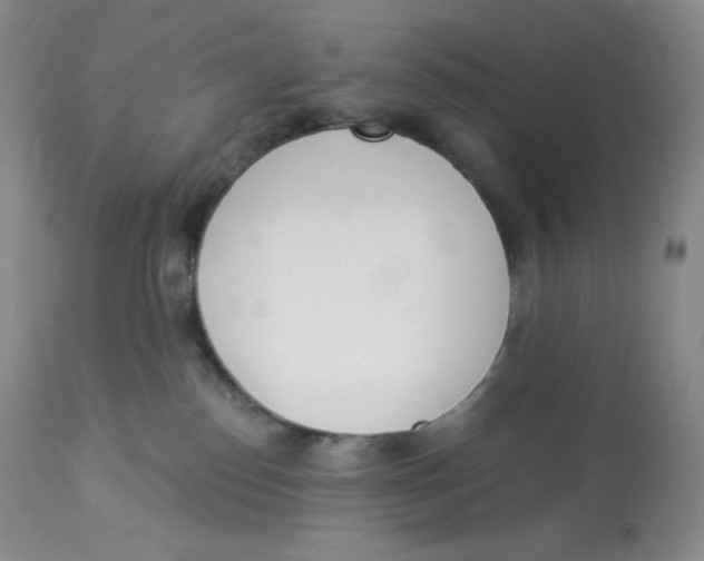 X0000112840186200909111430