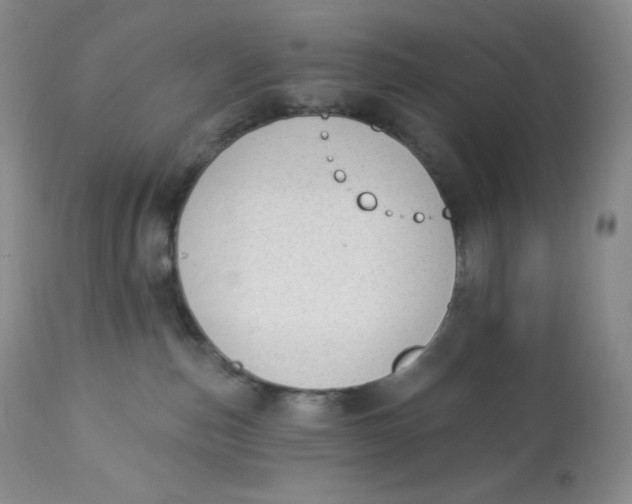 X0000112840187200909111430