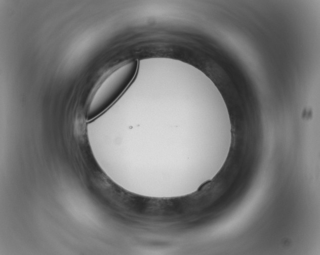 X0000112840190200909111431