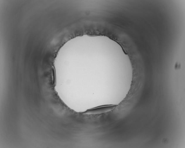 X0000112840192200909111431