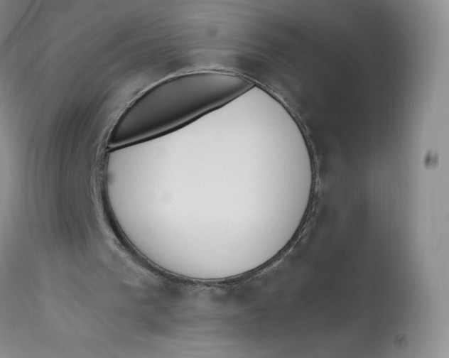 X0000112840193200909111430