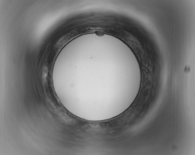 X0000112840194200909111430