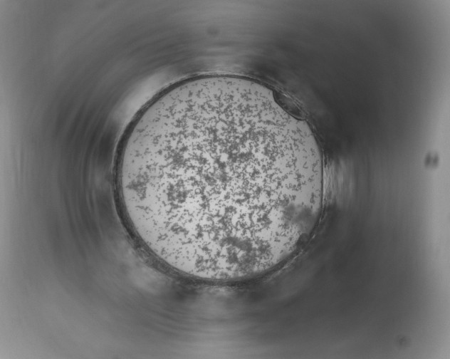 X0000112840195200909111430