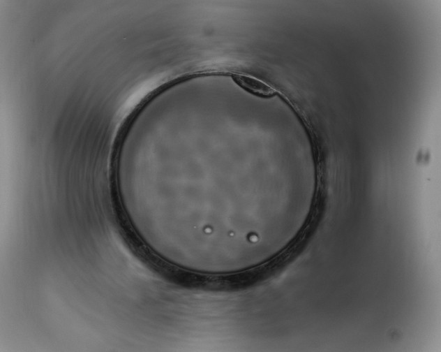 X0000112840196200909111430