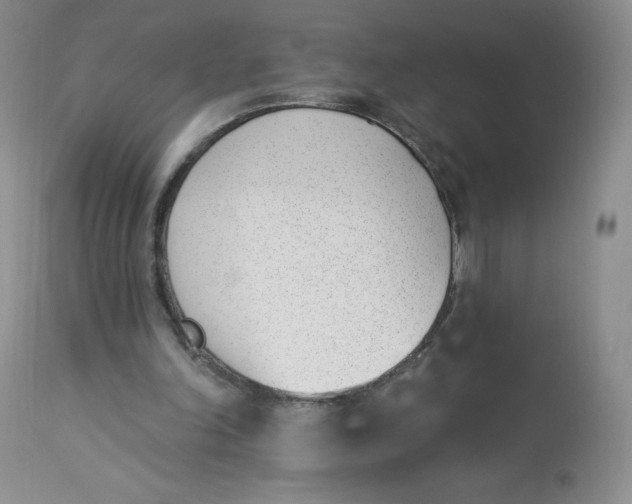 X0000112840198200909111430