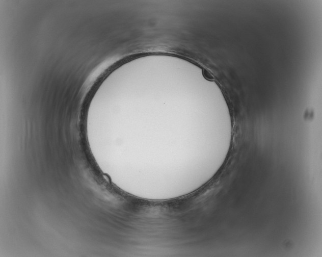 X0000112840200200909111430