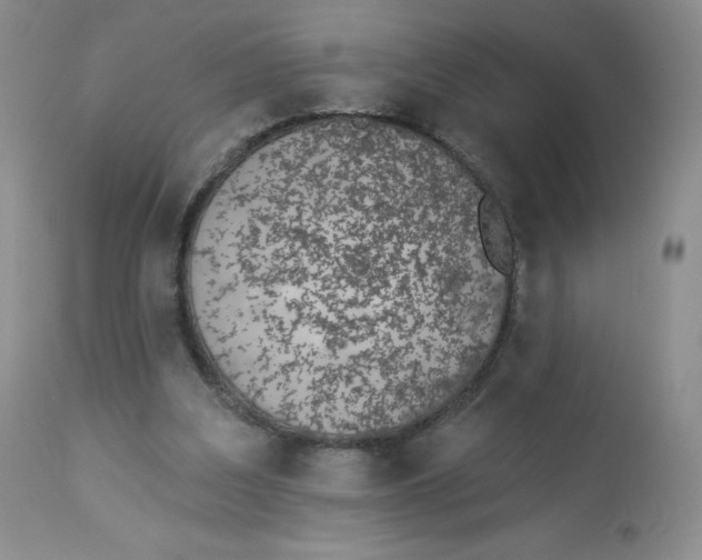 X0000112840203200909111430