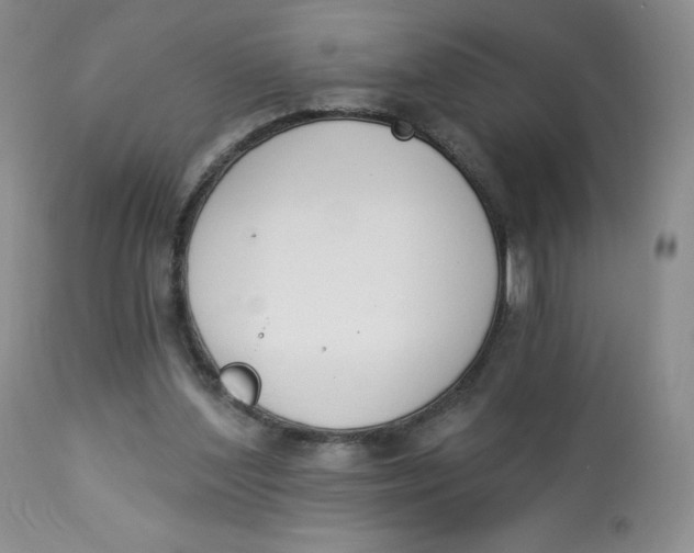 X0000112840204200909111430