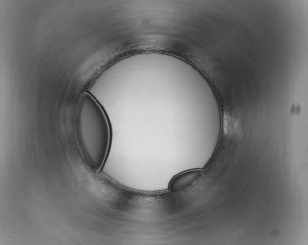 X0000112840205200909111430