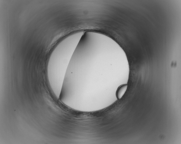 X0000112840207200909111430