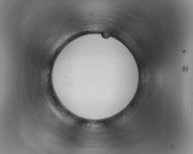 X0000112840208200909111429