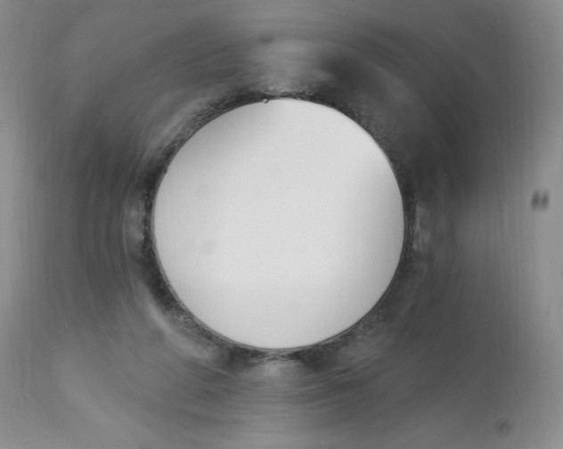 X0000112840210200909111429