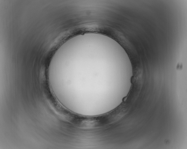 X0000112840213200909111429