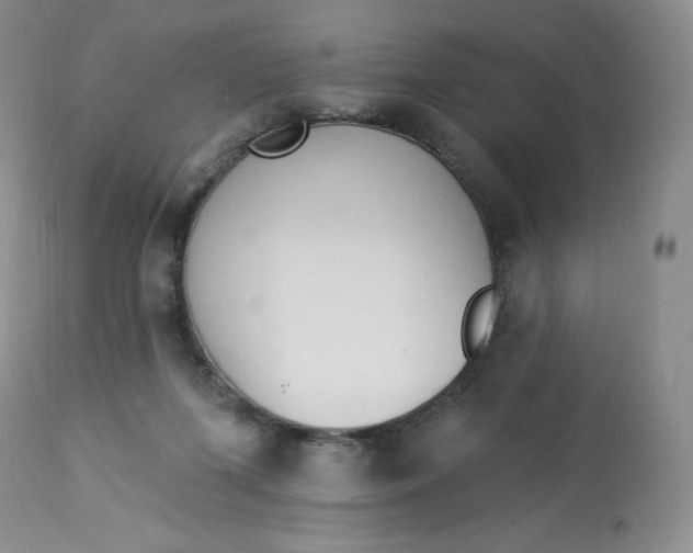 X0000112840215200909111429