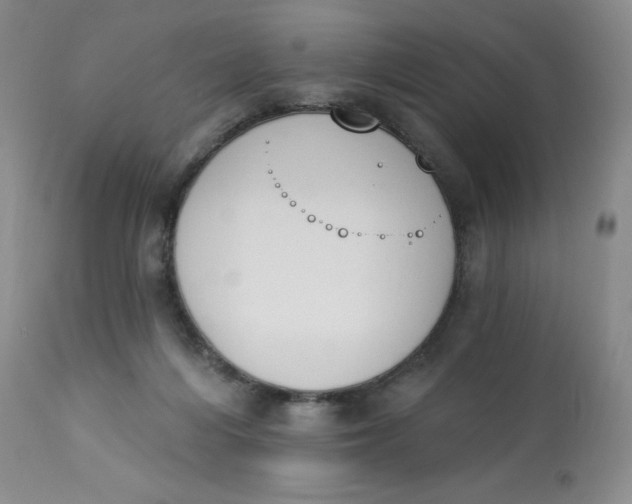 X0000112840216200909111429