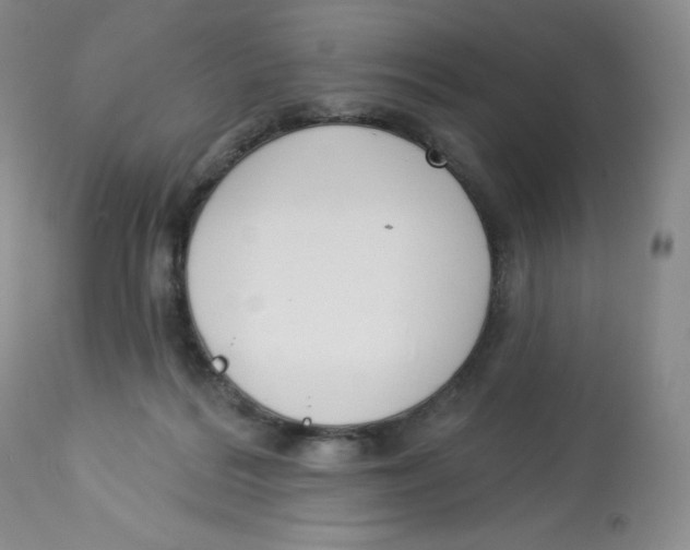 X0000112840220200909111429