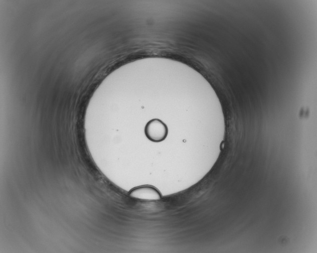 X0000112840221200909111429