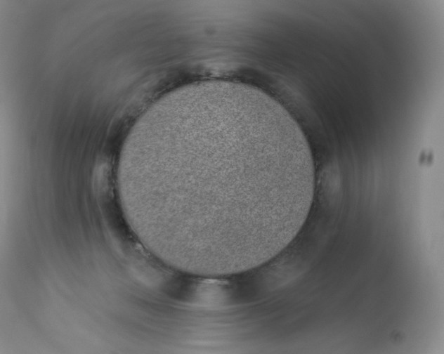 X0000112840222200909111429