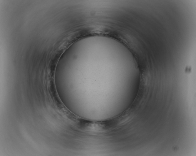 X0000112840223200909111429