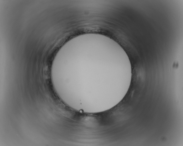 X0000112840224200909111429