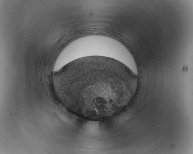 X0000112840227200909111429