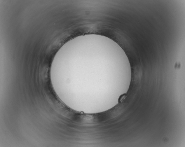 X0000112840230200909111429