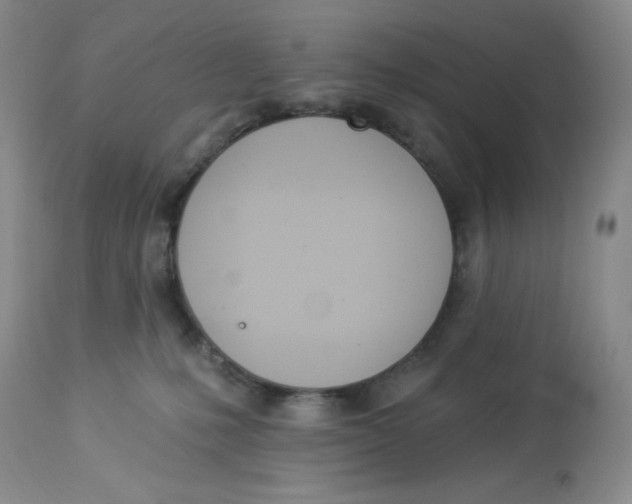 X0000112840231200909111429