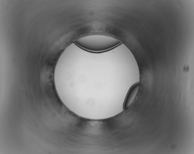 X0000112840233200909111429