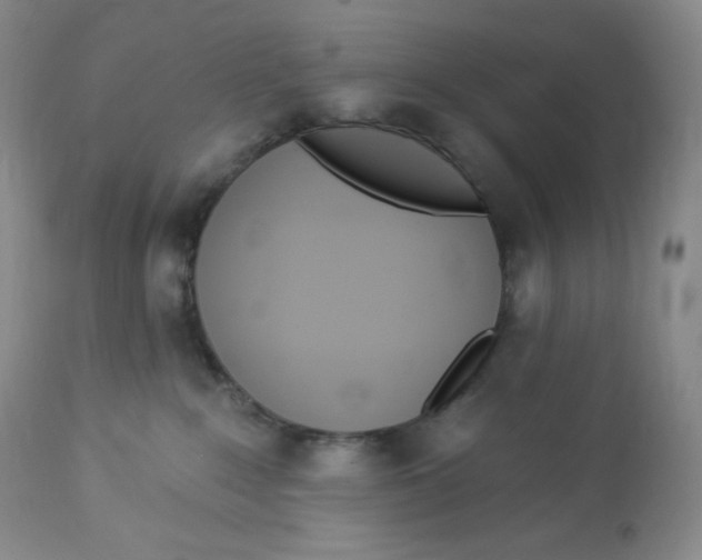 X0000112840235200909111429