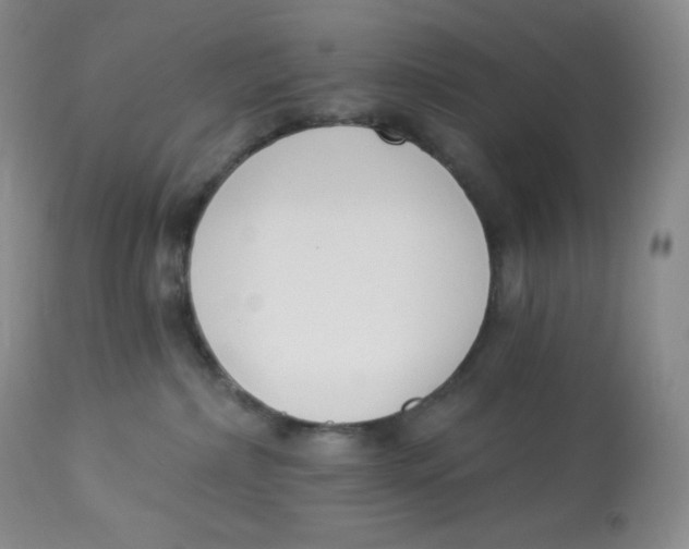 X0000112840236200909111429