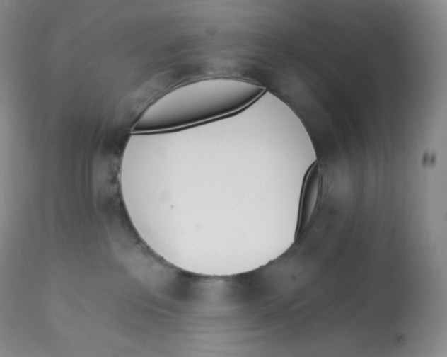 X0000112840237200909111429