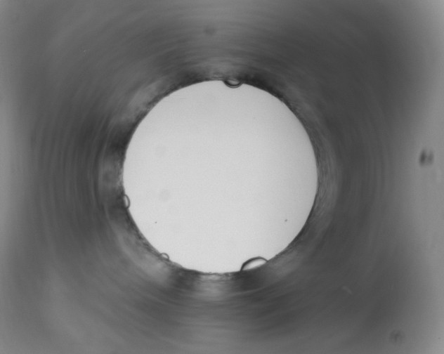 X0000112840240200909111429