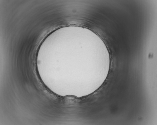 X0000112840241200909111428