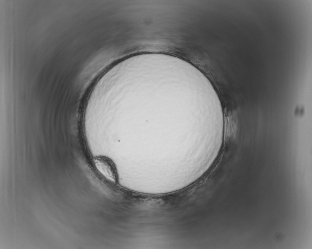 X0000112840243200909111428