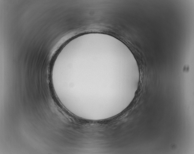 X0000112840244200909111428