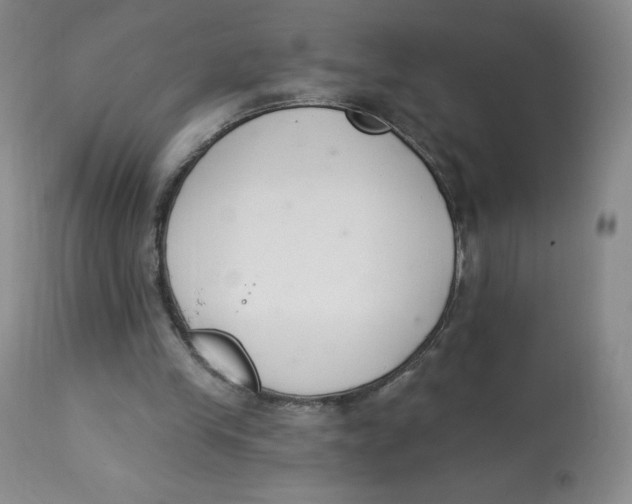 X0000112840245200909111428