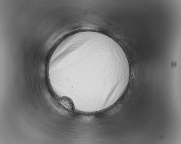 X0000112840247200909111428