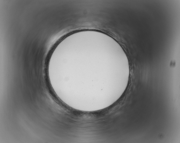 X0000112840248200909111428